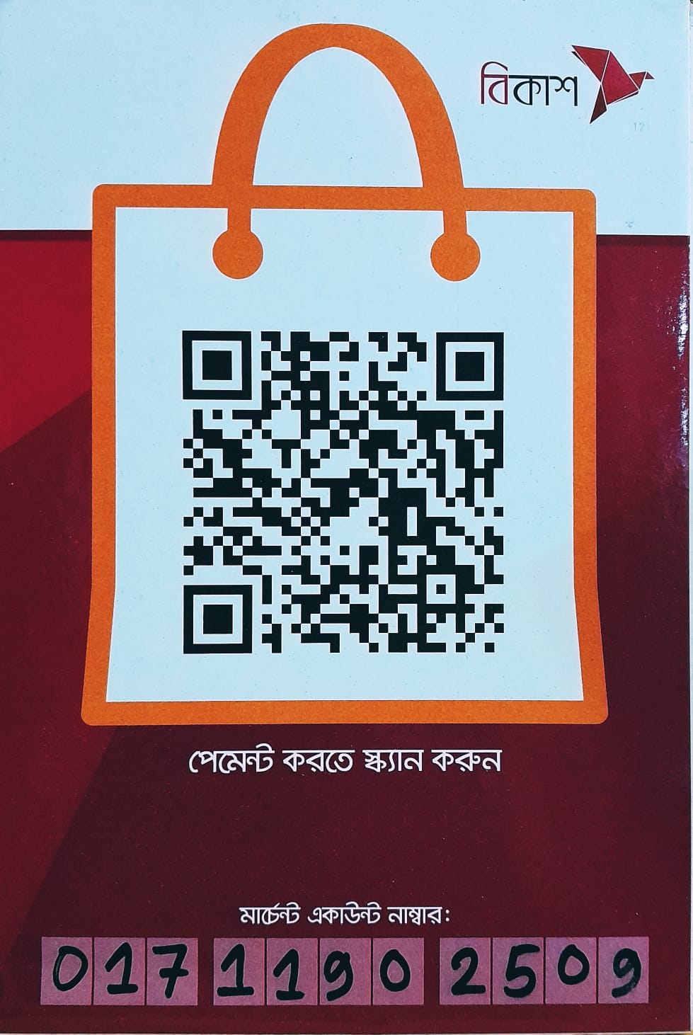 Alternative bKash logo