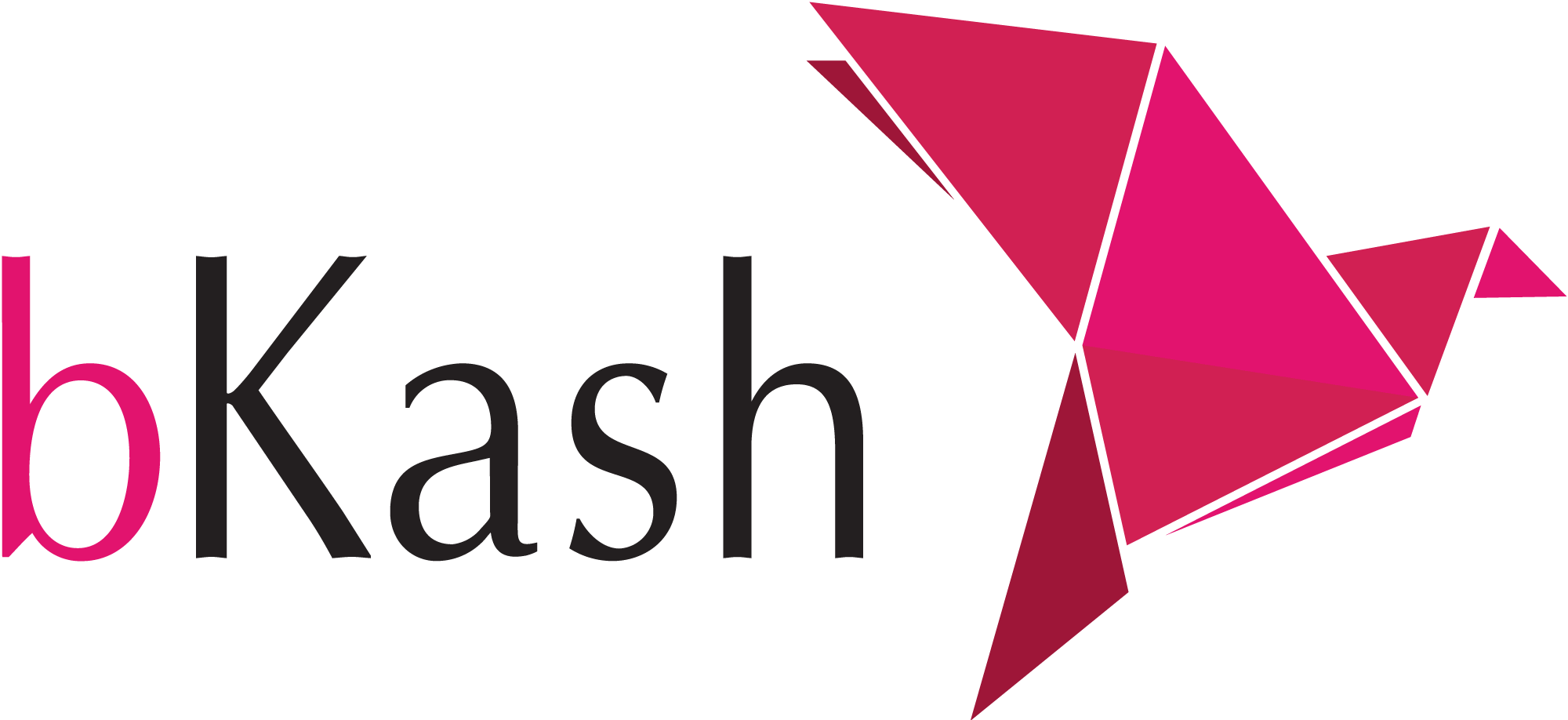 bKash Personal logo
